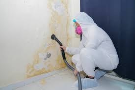 Best Residential Mold Inspection & Testing  in Gore, OK